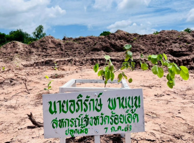 โครงการอาสาสมัครสหกรณ์ กิจกรรมพัฒนาอาสาสมัครสหกรณ์ ... พารามิเตอร์รูปภาพ 22